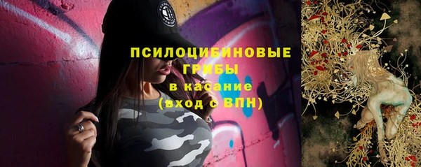 герыч Вяземский