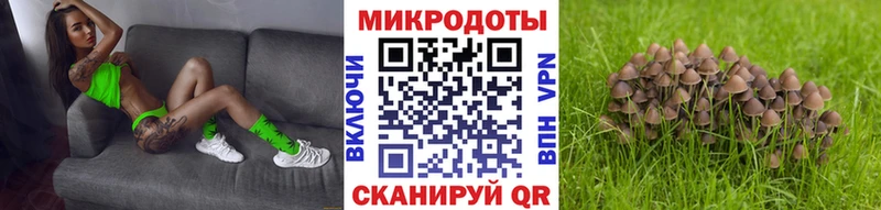Галлюциногенные грибы мицелий Ярославль