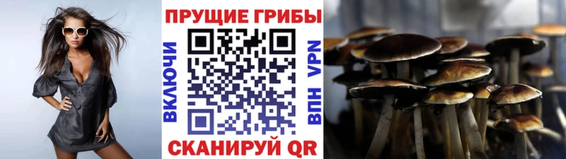 Псилоцибиновые грибы мицелий  Ярославль 